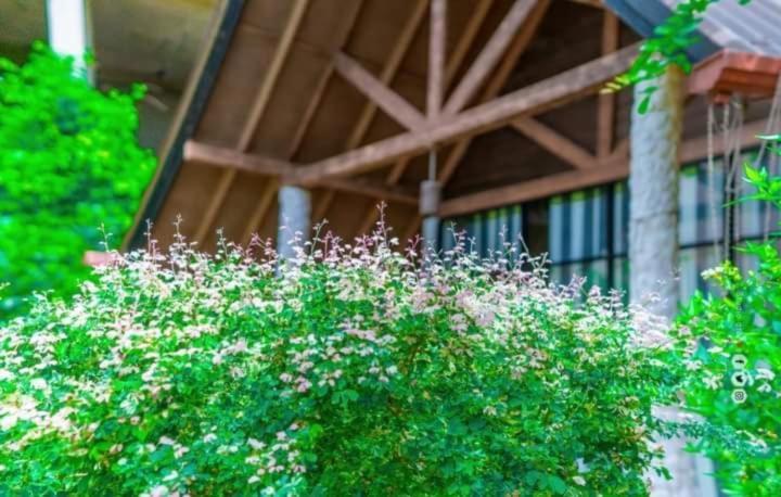 Passi Nature Villas Passikudah Kalkudah  Eksteriør billede